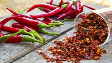 Spicy Food: ಅತೀ ಖಾರದ ಆಹಾರ ಪದಾರ್ಥಗಳನ್ನು ಇಷ್ಟ ಪಡುವವರಿಗೆ ಇಲ್ಲಿದೆ ಉಪಯುಕ್ತ ಮಾಹಿತಿ