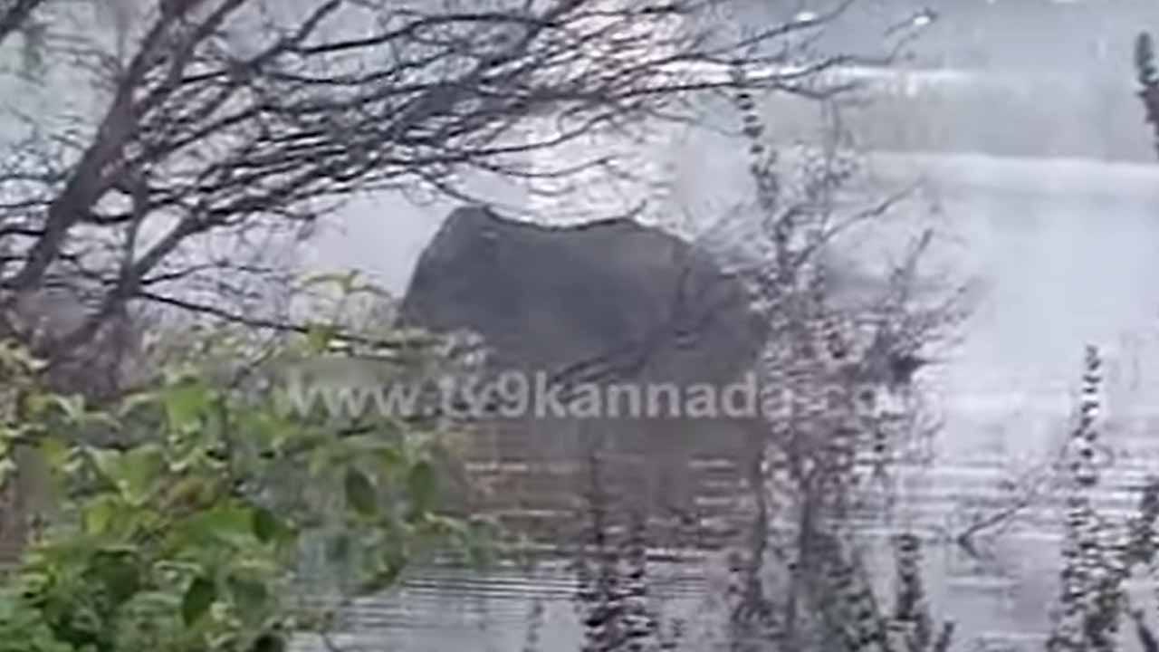 ರಾಮನಗರದ ಹೊರವಲಯದ ಕೆರೆಯಲ್ಲಿ ಪ್ರತ್ಯಕ್ಷವಾಯಿತೊಂದು ಸಲಗ, ಜನರಲ್ಲಿ ಆತಂಕ