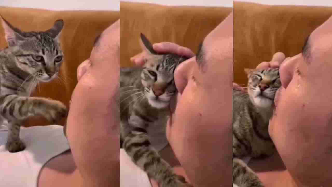 ಅಳಬೇಡ ಅಣ್ಣ ಅಳಬೇಡ; ಮಿಲಿಯನ್ಗಟ್ಟಲೆ ಜನಕ್ಕೆ ಈ ವಿಡಿಯೋ ಇಷ್ಟವಾಗಿದೆ