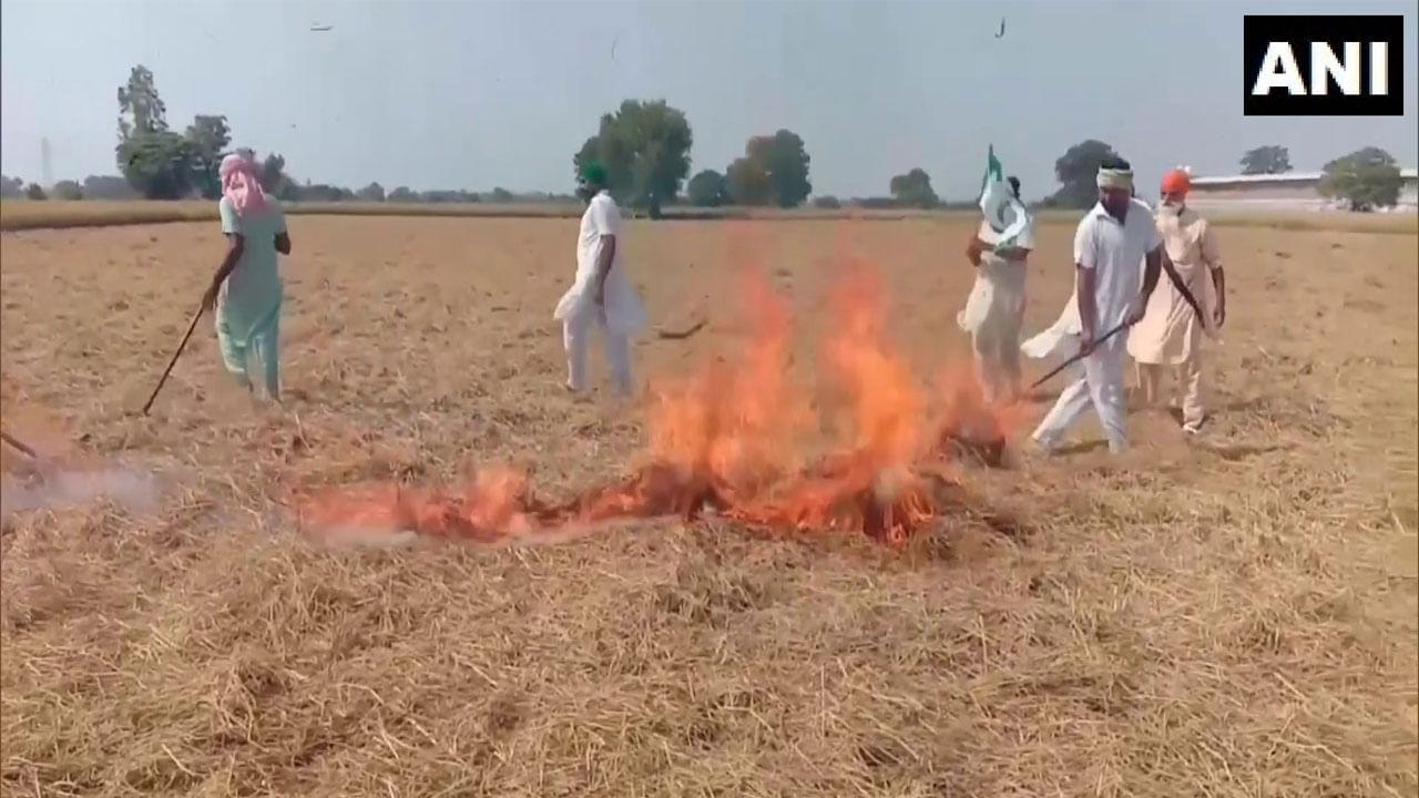 ದೆಹಲಿಯನ್ನು ಗ್ಯಾಸ್ ಚೇಂಬರ್ ಆಗಿ ಪರಿವರ್ತಿಸಲು ಪಂಜಾಬ್ ಸರ್ಕಾರ ಕಾರಣ: ಕೇಂದ್ರ ಪರಿಸರ ಸಚಿವ ಟ್ವೀಟ್ ದೆಹಲಿಯನ್ನು ಗ್ಯಾಸ್ ಚೇಂಬರ್ ಆಗಿ ಪರಿವರ್ತಿಸಲು ಪಂಜಾಬ್ ಸರ್ಕಾರ ಕಾರಣ: ಕೇಂದ್ರ ಪರಿಸರ ಸಚಿವ ಟ್ವೀಟ್