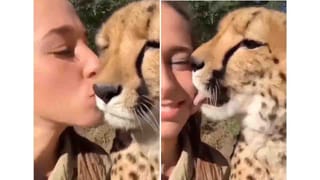 ದತ್ತುಪೋಷಕರೊಂದಿಗೆ ಹೊರಡುವ ಮುನ್ನ ಈ ಮಗು ಕೋರ್ಟ್​ನಲ್ಲಿ ಆಡಿದ ಮಾತುಗಳು ನಿಮ್ಮನ್ನು ಆರ್ದ್ರಗೊಳಿಸುತ್ತವೆ