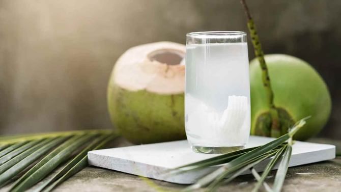 Coconut Water: ತ್ವಚೆಯ ಸಮಸ್ಯೆಗಳಿಗೆ ಮದ್ದು ಈ ಎಳೆನೀರು! ಇಲ್ಲಿದೆ ಮಾಹಿತಿ Coconut Water: ತ್ವಚೆಯ ಸಮಸ್ಯೆಗಳಿಗೆ ಮದ್ದು ಈ ಎಳೆನೀರು! ಇಲ್ಲಿದೆ ಮಾಹಿತಿ