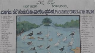 Gadag: ಬಡವರ ಪಾಲಿನ ಸಂಜೀವಿನಿ ಎನಿಸಿಕೊಳ್ಳಬೇಕಿದ್ದ ಗದಗ ಆಸ್ಪತ್ರೆಯ ದುಃಸ್ಥಿತಿ ಇದು! ಆರೋಗ್ಯ ಸಚಿವರು ಬಿಸಿ ಮುಟ್ಟಿಸ್ತಾರಾ ಜಿಮ್ಸ್ ಮಂಡಳಿಗೆ