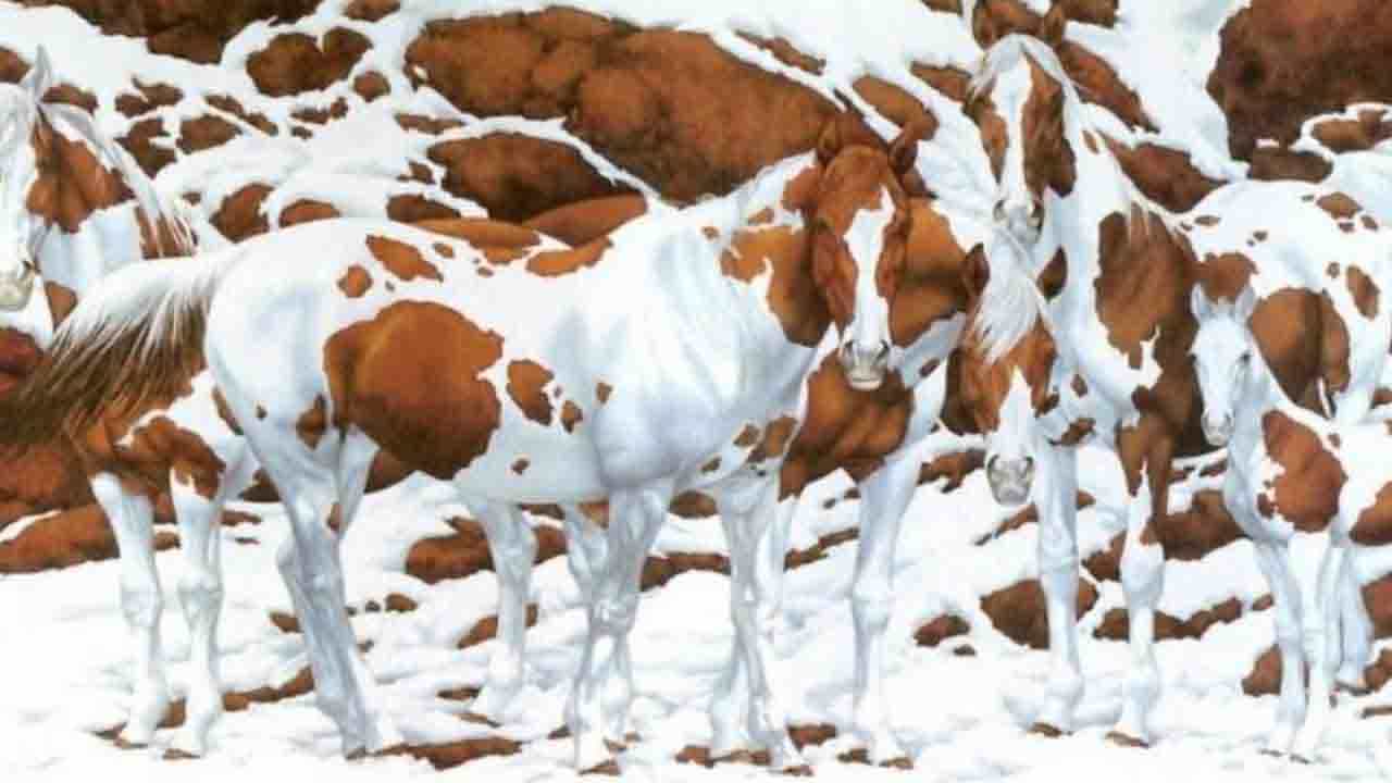 Optical Illusion: ಒಟ್ಟು ಕುದುರೆಗಳು ಎಷ್ಟಿವೆ? ಇಡೀ ದಿನ ಹುಡುಕಿ! Optical Illusion: ಒಟ್ಟು ಕುದುರೆಗಳು ಎಷ್ಟಿವೆ? ಇಡೀ ದಿನ ಹುಡುಕಿ!