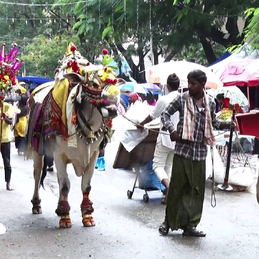 ಮೂರು ದಿನ ಪರಿಷೆ ನಡೆಯಲಿದ್ದು, ಇಂದು ಮತ್ತು ನಾಳೆ ಜನರ ಸಂಖ್ಯೆ ಹೆಚ್ಚಾಗಲಿದೆ. ಇನ್ನು, ಪರಿಷೆಯಲ್ಲಿ ವಿವಿಧ ರೀತಿಯ ತಿಂಡಿ, ತಿನಿಸು, ವಸ್ತುಗಳು ಜನರನ್ನ ಸೆಳೆಯುತ್ತಿವೆ. 