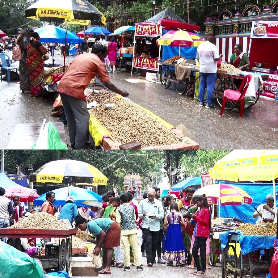 ಮಳೆ, ಚಳಿ ನಡುವೆಯೇ ಸಿಟಿ ಮಂದಿ ಕಡಲೇಕಾಯ್ ಸವಿಯುತ್ತಿದ್ದಾರೆ. ಮಲ್ಲೇಶ್ವರಂನ ಕಾಡುಮಲ್ಲೇಶ್ವರಂ ದೇಗುಲದ ಬಳಿ ಕಡಲೇಕಾಯಿ ಪರಿಷೆ ಆರಂಭವಾಗಿದೆ.