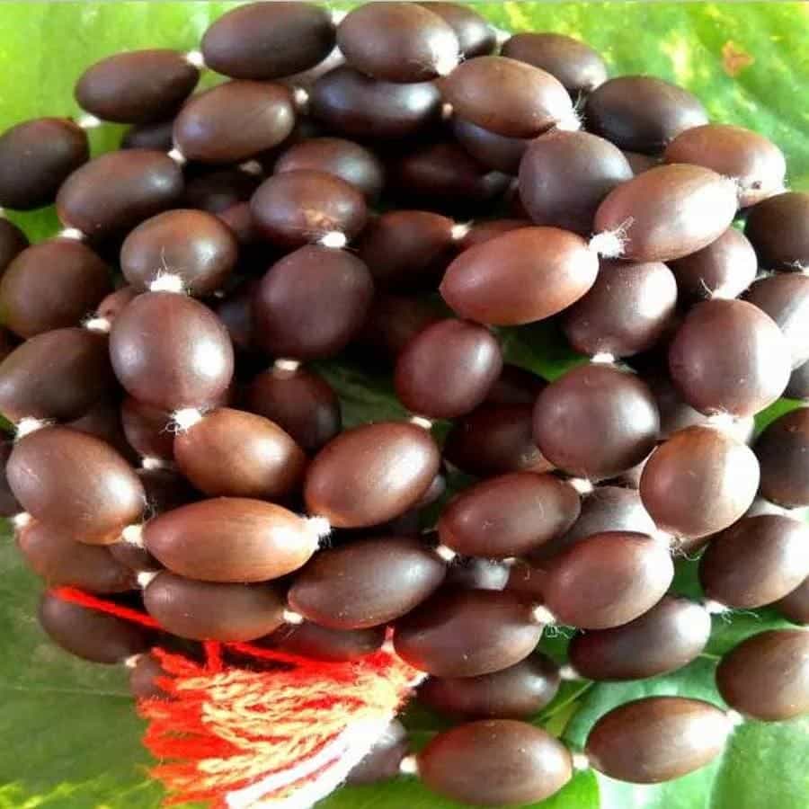 ತುಳಸಿ ಮಾಲೆ ಜಪದಿಂದ ವಿಷ್ಣು ಅನುಗ್ರಹ ಪ್ರಾಪ್ತಿ, ಹಣಕಾಸಿನ ಅನುಕೂಲವಾಗುವುದು, ರೋಗನಾಶ, ಮುಕ್ತಿ ಪ್ರದಾಯಕ, ಆಧ್ಯಾತ್ಮಿಕ ಜ್ಞಾನ ಪ್ರಾಪ್ತಿ