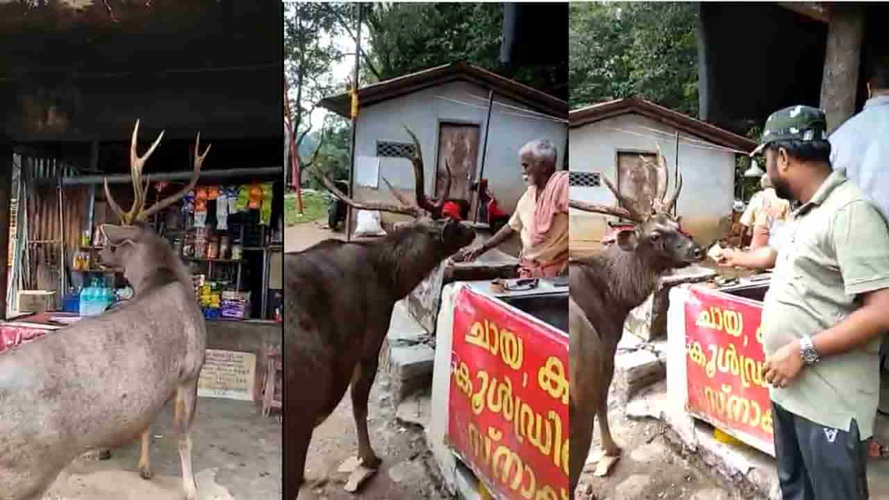 ಯಾರಿದೀರಿ? ‘ಸಾಂಬಾರ್’ ಅಂತೂ ಬಂದಿದೆ, ಇಡ್ಲಿನೋ ವಡಾನೋ ಕೊಟ್ಬಿಡಿ