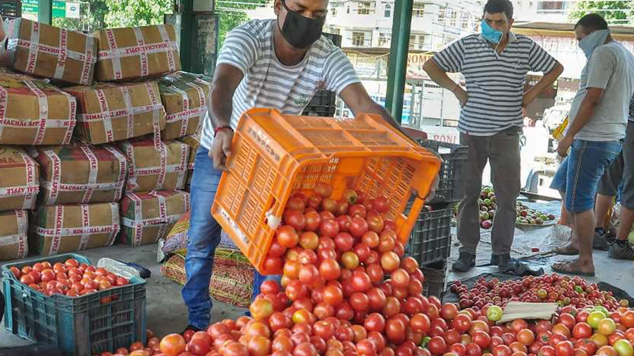 Vegetable Price Hike ಟೊಮ್ಯಾಟೊ ಬೆಲೆ ಶೇ 150ರಷ್ಟುಏರಿಕೆ, ಸಣ್ಣ ಈರುಳ್ಳಿ ಕೆಜಿಗೆ ₹110; ತಮಿಳುನಾಡಿನಲ್ಲಿ ಗಗನಕ್ಕೇರಿದ ತರಕಾರಿ ಬೆಲೆ Vegetable Price Hike ಟೊಮ್ಯಾಟೊ ಬೆಲೆ ಶೇ 150ರಷ್ಟುಏರಿಕೆ, ಸಣ್ಣ ಈರುಳ್ಳಿ ಕೆಜಿಗೆ ₹110; ತಮಿಳುನಾಡಿನಲ್ಲಿ ಗಗನಕ್ಕೇರಿದ ತರಕಾರಿ ಬೆಲೆ