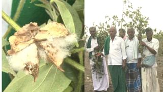 ಹಂಪಿ ಆಟೋ ರಾಜ ಅನಂತರಾಜು ಕೈಹಿಡಿದ ಬೆಲ್ಜಿಯಂ ಕನ್ಯೆ, ಹಿಂದೂ ಸಂಪ್ರದಾಯದಂತೆ ಮಾದುವೆಯಾದರು!