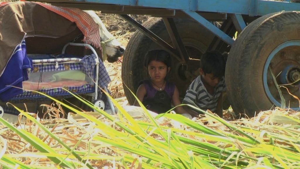 Children lose Education over household work as parents go for sugarcane cut in Bidar district