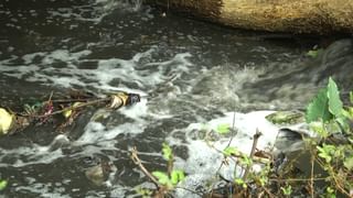 Dakshina Kannada Congress: ಕಾಂಗ್ರೆಸ್‌ಗೆ 8 ಮೆಟ್ಟಿಲು ಅನಿಷ್ಟ, 9ನೇ ಮೆಟ್ಟಿಲು ಅದೃಷ್ಟವಂತೆ! ಏನಿದರ ರಹಸ್ಯ?