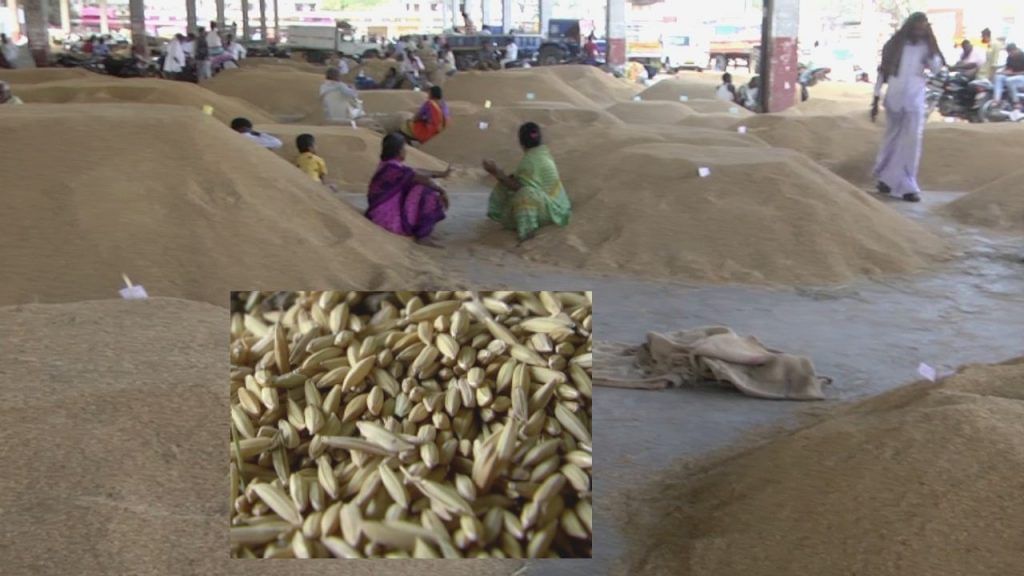 Raichur paddy farmers in agony as andhra and telangana farmers get profits  