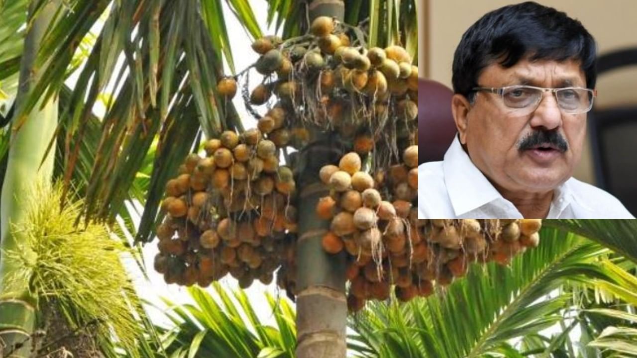 ಭವಿಷ್ಯವಿಲ್ಲದ ಅಡಿಕೆ ಬೆಳೆಯನ್ನು ನಿಮ್ಮ ತೋಟದಲ್ಲಿ ಮೊದಲು ನಾಶಪಡಿಸಿ, ಬೇರೆ ಬೆಳೆ ಬೆಳೆದು ತೋರಿಸಿ ಮಿ(ನಿ)ಸ್ಟರ್ ಆರಗ ಜ್ಞಾನೇಂದ್ರ- ಮಲೆನಾಡಿಗರು ಕಿಡಿಕಿಡಿ ಭವಿಷ್ಯವಿಲ್ಲದ ಅಡಿಕೆ ಬೆಳೆಯನ್ನು ನಿಮ್ಮ ತೋಟದಲ್ಲಿ ಮೊದಲು ನಾಶಪಡಿಸಿ, ಬೇರೆ ಬೆಳೆ ಬೆಳೆದು ತೋರಿಸಿ ಮಿ(ನಿ)ಸ್ಟರ್ ಆರಗ ಜ್ಞಾನೇಂದ್ರ- ಮಲೆನಾಡಿಗರು ಕಿಡಿಕಿಡಿ