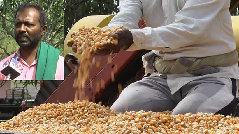 Crop Insurance: ಇದೆಂಥ ವಿಮೆ? ವಿಮಾ ಕಂತು ತುಂಬಿದ್ದು, ಬೆಳೆ ನಷ್ಟವಾಗಿದೆ ಎಂದರೂ ಪರಿಹಾರ ನೀಡಲು ಕಂಪನಿ ಹಿಂದೇಟು ಹಾಕುತ್ತಿರುವುದು ಯಾಕೆ?
