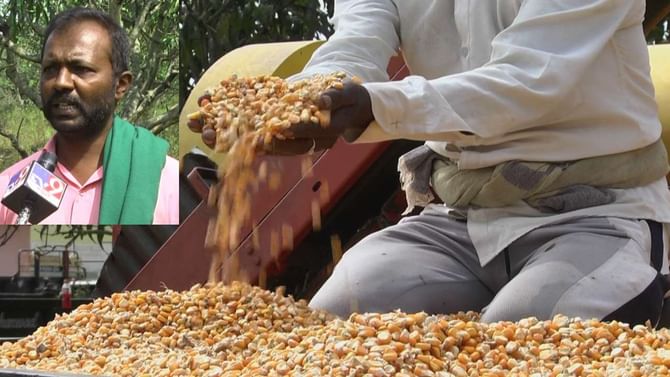 Crop Insurance: ಇದೆಂಥ ವಿಮೆ? ವಿಮಾ ಕಂತು ತುಂಬಿದ್ದು, ಬೆಳೆ ನಷ್ಟವಾಗಿದೆ ಎಂದರೂ ಪರಿಹಾರ ನೀಡಲು ಕಂಪನಿ ಹಿಂದೇಟು ಹಾಕುತ್ತಿರುವುದು ಯಾಕೆ? Crop Insurance: ಇದೆಂಥ ವಿಮೆ? ವಿಮಾ ಕಂತು ತುಂಬಿದ್ದು, ಬೆಳೆ ನಷ್ಟವಾಗಿದೆ ಎಂದರೂ ಪರಿಹಾರ ನೀಡಲು ಕಂಪನಿ ಹಿಂದೇಟು ಹಾಕುತ್ತಿರುವುದು ಯಾಕೆ?