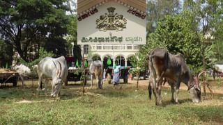 ಹಾವೇರಿ: ತುಂಬಿದ ಕೆರೆಯಲ್ಲಿ ಗ್ಲಾಸ್​ ಹೌಸ್ ನಿರ್ಮಿಸೋಕ್ಕೆ ಮುಂದಾದರು, ಆಮೇಲೆ ಕೆರೆಯಲ್ಲಿ ಕಾಮಗಾರಿಗೆ ಅವಕಾಶ ಇಲ್ಲಾಂದ್ರು, ಮುಂದೇನು?