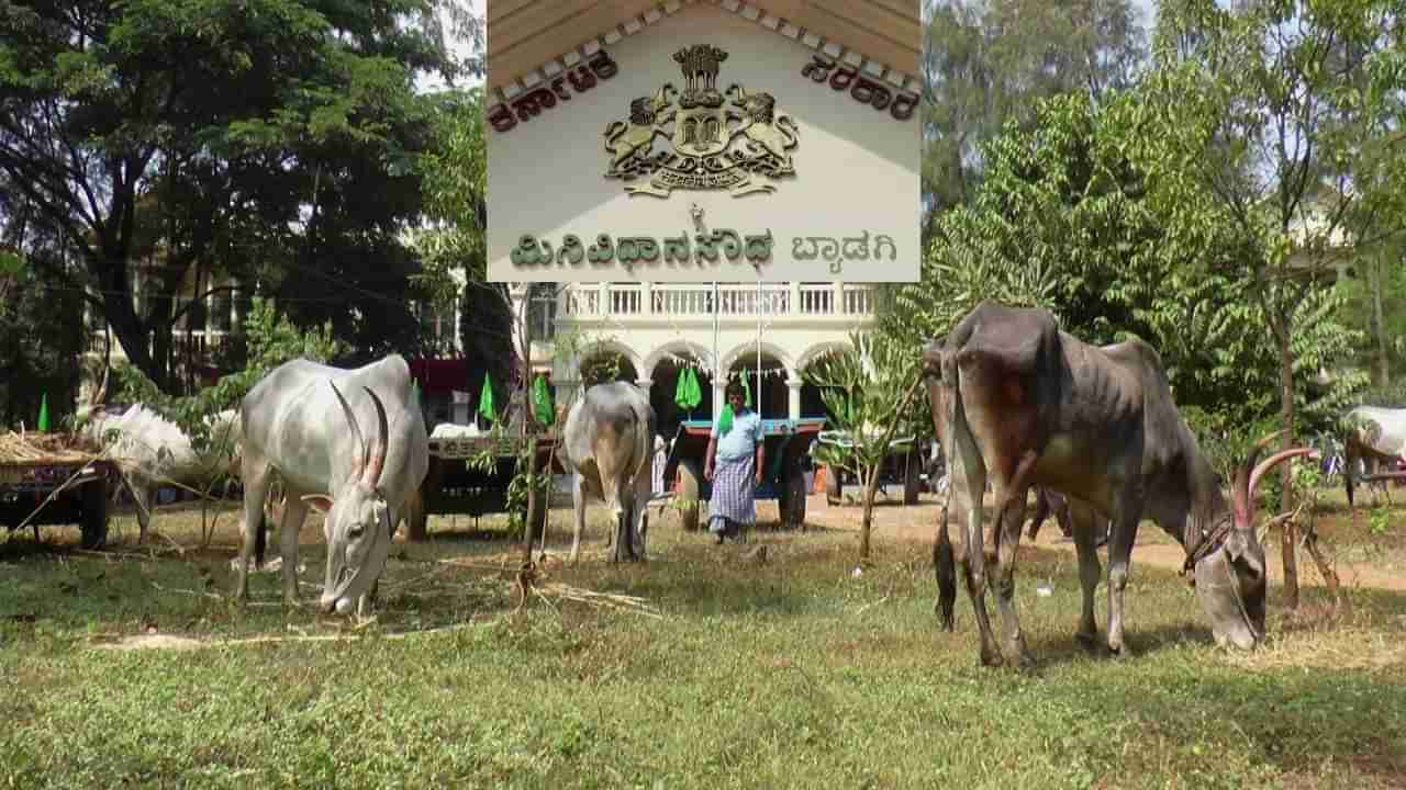 KIADB ಮತ್ತೊಂದು ಬಾನಗಡಿ! ಬ್ಯಾಡಗಿ ತಾಲೂಕಿನಲ್ಲಿ ಸಾವಿರಾರು ಎಕರೆ ಕೃಷಿ ಭೂಮಿಯನ್ನು ಕೈಗಾರಿಕೆ ಮಾಡಲು ಹೊರಟಿದೆ, ರೈತರಿಗೆ ತಿಳಿಸದೆಯೇ!