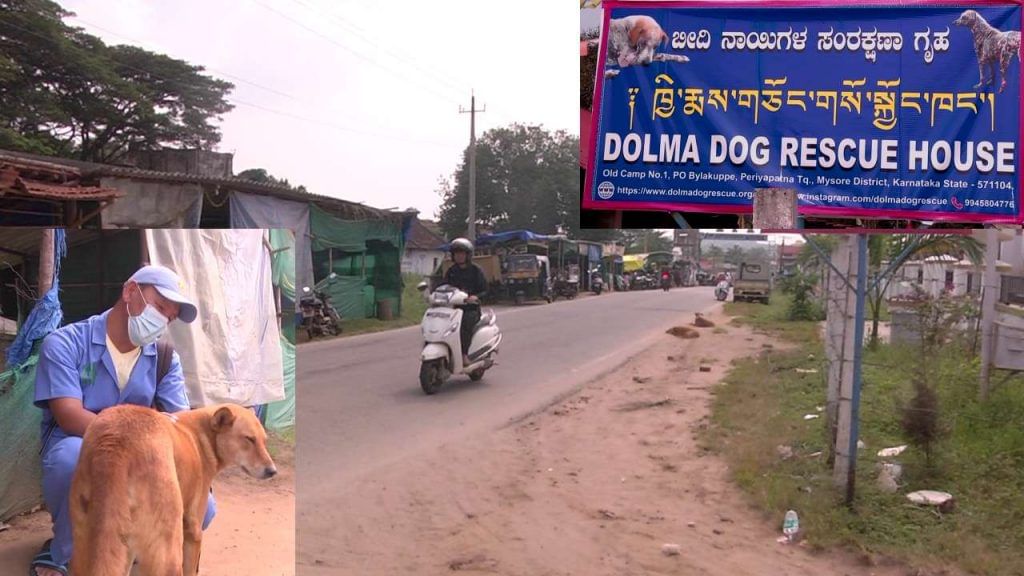 Dog Lover Kalsang Dorjee at mysore kodagu border tibetan refugee camp