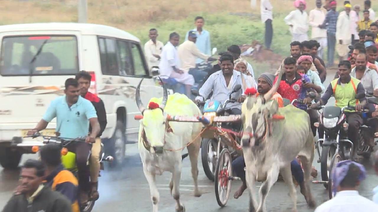 ತಮ್ಮ ಎತ್ತುಗಳನ್ನು ಸ್ಪರ್ಧೆಯಲ್ಲಿ ಓಡಿಸಿ ಅವುಗಳ ಓಟವನ್ನು ಕಂಡು ಹರ್ಷಪಡುತ್ತಾರೆ. ಇನ್ನು ಸ್ಪರ್ಧೆಯಲ್ಲಿ ವಿಶೇಷ ಬಹುಮಾನವಿದ್ದು, ಮೊದಲನೇ ಬಹುಮಾನ 25 ಸಾವಿರ ರೂ. ದ್ವಿತೀಯ ಬಹುಮಾನ 20 ಸಾವಿರ ರೂ, ತೃತೀಯ ಬಹುಮಾನ 15 ಸಾವಿರ ರೂಪಾಯಿಯನ್ನ ನಿಗಧಿ ಮಾಡಲಾಗಿತ್ತು.