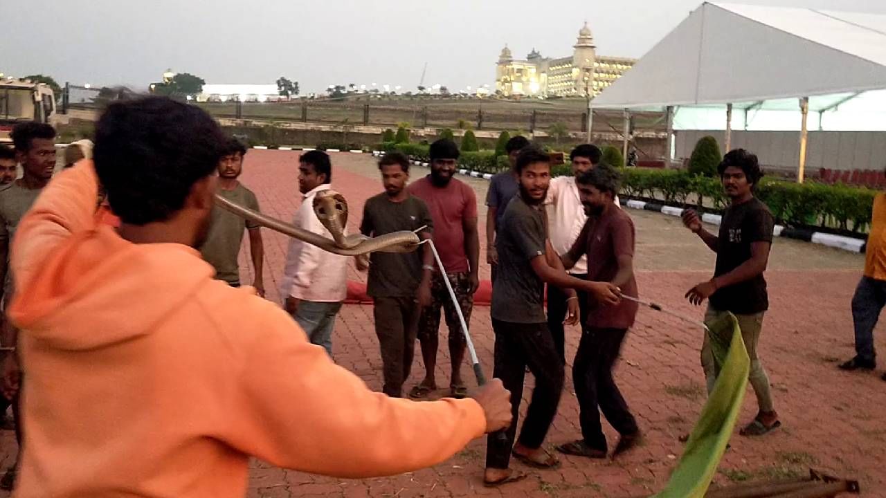 Belagavi Winter Session: ಅಧಿವೇಶನ ಆರಂಭದ ದಿನವೇ ಸುವರ್ಣ ಸೌಧದಲ್ಲಿ ಹಾವುಗಳು ಪತ್ತೆ