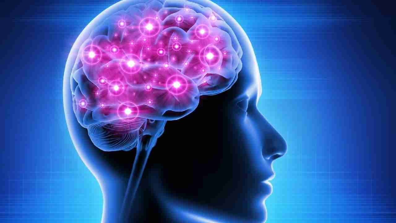 Brain Health: ನಿಮ್ಮ ಮೆದುಳಿನ ಆರೋಗ್ಯಕ್ಕೆ ವಿಟಮಿನ್ ಡಿ ಅತ್ಯಂತ ಅವಶ್ಯಕ