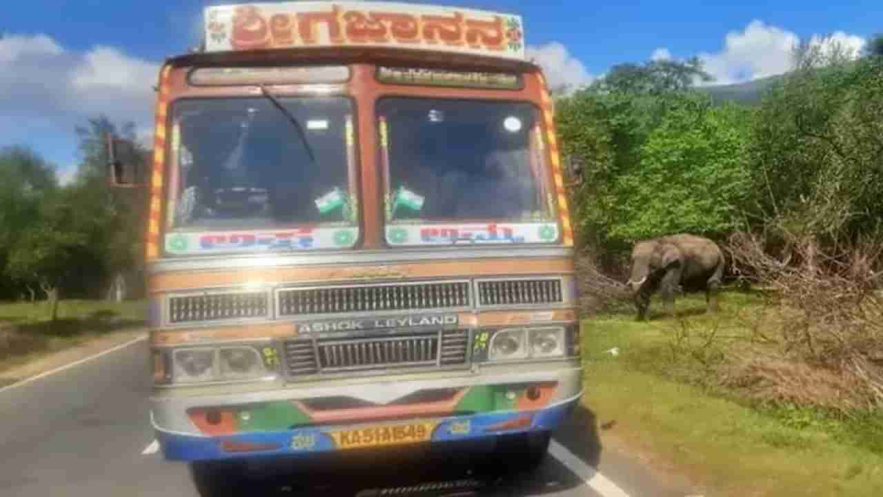 ಆನೆಗೆ ತಿನ್ನಲು ಕಬ್ಬು ಕೊಟ್ಟು 75,000 ರೂ. ದಂಡ ತೆತ್ತ ಮೈಸೂರಿನ ಲಾರಿ ಚಾಲಕ!