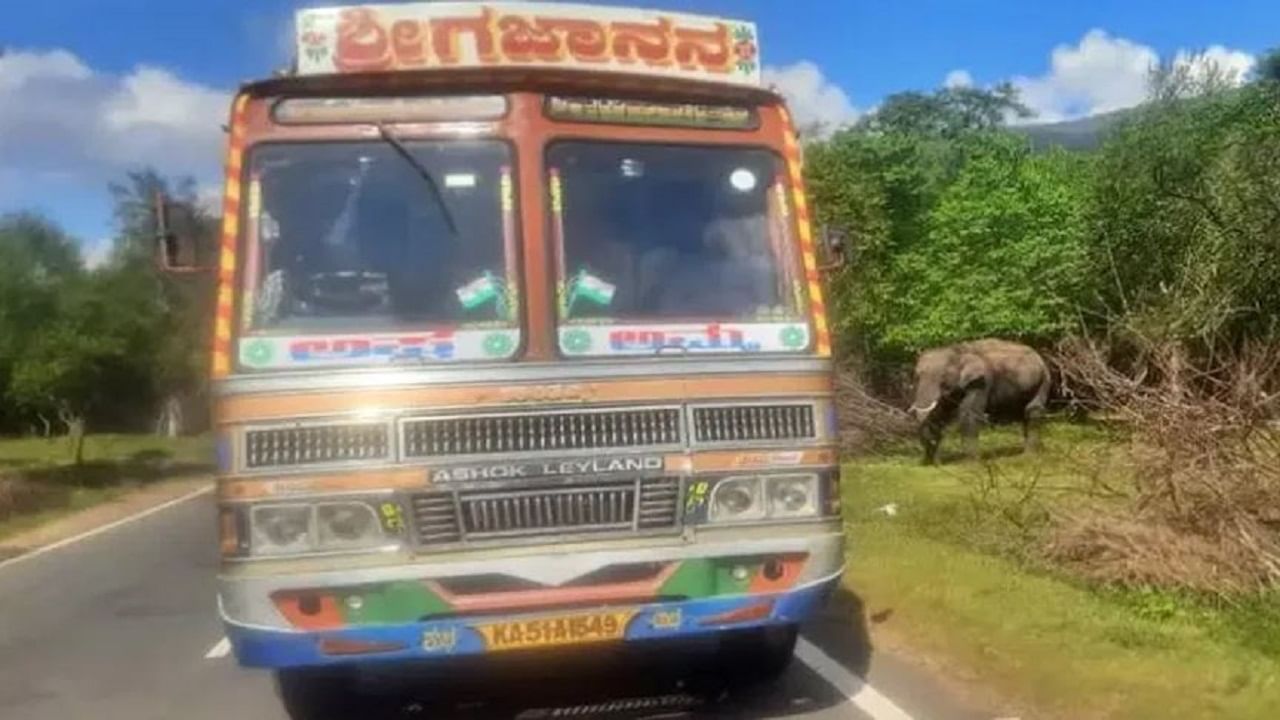 ಆನೆಗೆ ತಿನ್ನಲು ಕಬ್ಬು ಕೊಟ್ಟು 75,000 ರೂ. ದಂಡ ತೆತ್ತ ಮೈಸೂರಿನ ಲಾರಿ ಚಾಲಕ!