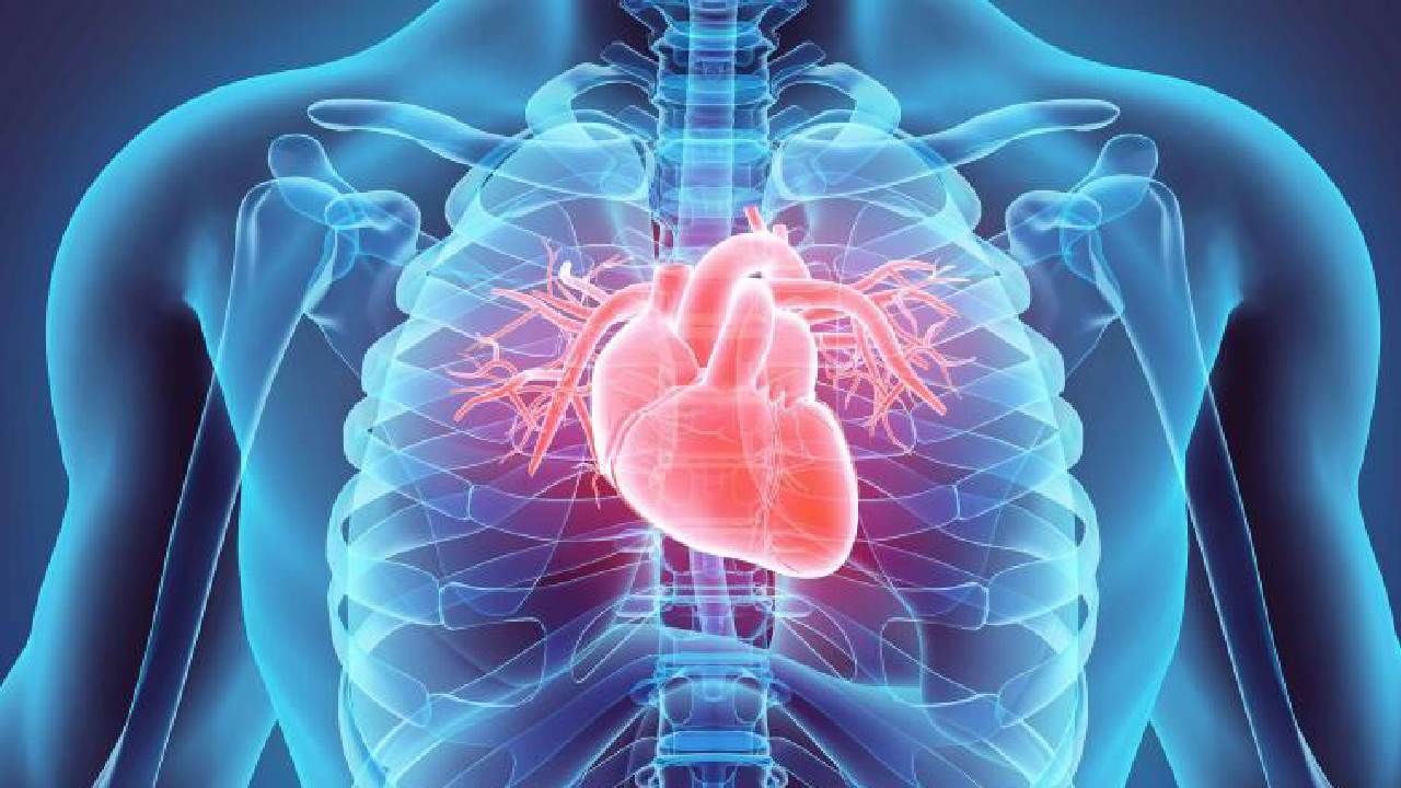 Cardiovascular Disease: ಹೃದಯದ ಆರೋಗ್ಯಕ್ಕಾಗಿ ನಿದ್ರೆ ಅವಶ್ಯಕ, ತಜ್ಞರ ಸಲಹೆಗಳು ಇಲ್ಲಿವೆ