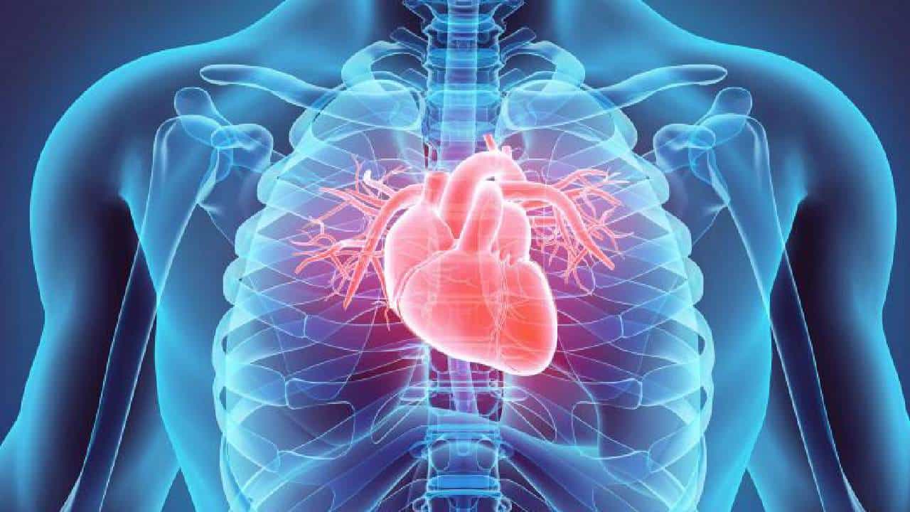 Cardiovascular Disease: ಹೃದಯದ ಆರೋಗ್ಯಕ್ಕಾಗಿ ನಿದ್ರೆ ಅವಶ್ಯಕ, ತಜ್ಞರ ಸಲಹೆಗಳು ಇಲ್ಲಿವೆ Cardiovascular Disease: ಹೃದಯದ ಆರೋಗ್ಯಕ್ಕಾಗಿ ನಿದ್ರೆ ಅವಶ್ಯಕ, ತಜ್ಞರ ಸಲಹೆಗಳು ಇಲ್ಲಿವೆ