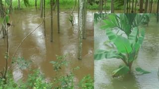 ಶಿವನೇ ನನಗೆ ಹುಡುಗಿ ಕರುಣಿಸು… ದೇವರಿಗೆ ಪತ್ರ ಬರೆದು ಹುಂಡಿಗೆ ಹಾಕಿರುವ ಭೂಪ