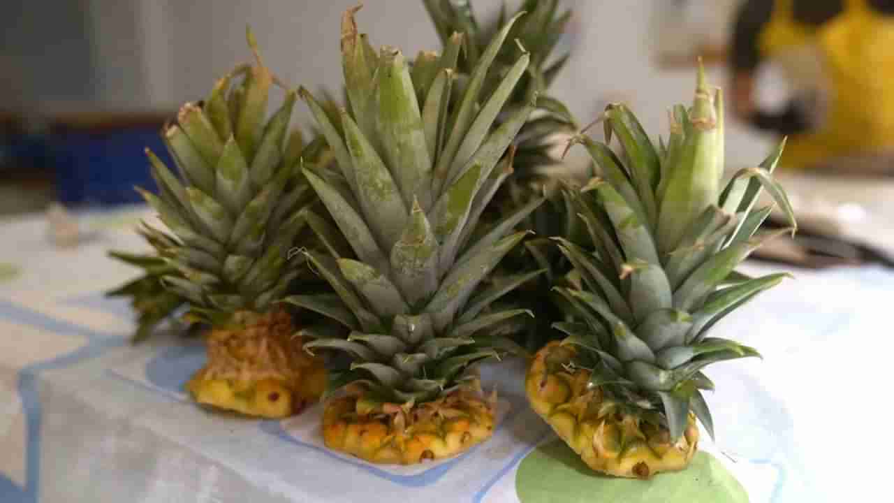 Pineapple Crowns: ಅನಾನಸ್​ ಹಣ್ಣಿನ ಮೇಲಿನ ಎಲೆಗಳನ್ನು ಎಸೆಯುವ ಮುನ್ನ ಯೋಚಿಸಿ, ಇಲ್ಲಿದೆ ಉಪಯೋಗಿಸುವ ಬಗೆ