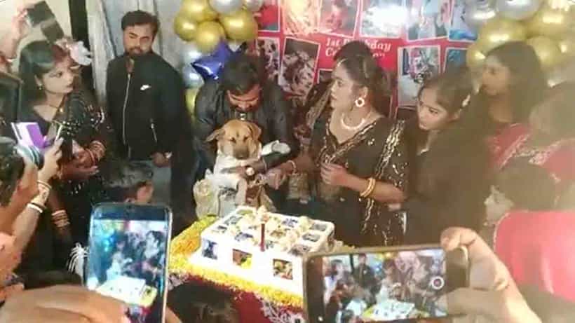 350 ಜನರನ್ನು ಆಹ್ವಾನಿಸಿ ನಾಯಿಯ ಹುಟ್ಟುಹಬ್ಬ ಮಾಡಿದ ಧನಬಾದ್ನ ದಂಪತಿ