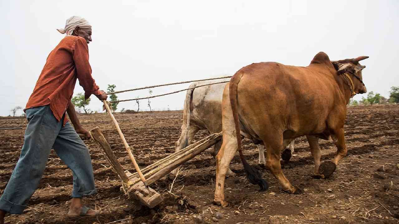 World Soil Day 2022: ಮಣ್ಣಿನ ಆರೋಗ್ಯ/ ಫಲವತ್ತತೆಯನ್ನು ಕಾಪಾಡಿಕೊಳ್ಳುವುದು ಮತ್ತು ಮುಂಜಾಗ್ರತಾ ಕ್ರಮ ಹೇಗೆ? World Soil Day 2022: ಮಣ್ಣಿನ ಆರೋಗ್ಯ/ ಫಲವತ್ತತೆಯನ್ನು ಕಾಪಾಡಿಕೊಳ್ಳುವುದು ಮತ್ತು ಮುಂಜಾಗ್ರತಾ ಕ್ರಮ ಹೇಗೆ?