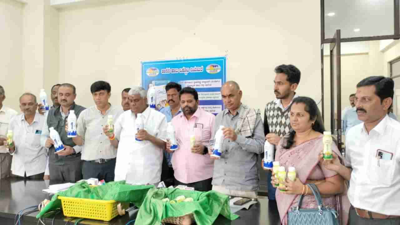 HAMUL Milk Export: ಹಾಸನದಿಂದ ಮಾಲ್ಡೀವ್ಸ್​ಗೆ ಹಾಲು ರಫ್ತು, ಶೀಘ್ರ ದುಬೈಗೂ ವಿಸ್ತರಣೆ; ಹಾಮುಲ್