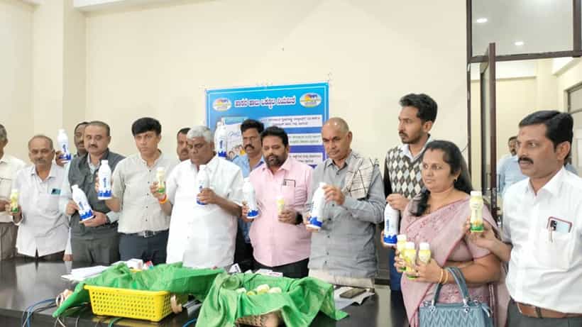 HAMUL Milk Export: ಹಾಸನದಿಂದ ಮಾಲ್ಡೀವ್ಸ್ಗೆ ಹಾಲು ರಫ್ತು, ಶೀಘ್ರ ದುಬೈಗೂ ವಿಸ್ತರಣೆ; ಹಾಮುಲ್