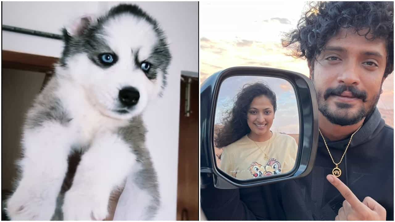 Haripriya: ಹರಿಪ್ರಿಯಾ-ವಸಿಷ್ಠ ಸಿಂಹ ನಡುವೆ ಪ್ರೀತಿ ಹುಟ್ಟಲು ಕಾರಣ ಆಗಿದ್ದೇ ಈ ನಾಯಿಮರಿ Haripriya: ಹರಿಪ್ರಿಯಾ-ವಸಿಷ್ಠ ಸಿಂಹ ನಡುವೆ ಪ್ರೀತಿ ಹುಟ್ಟಲು ಕಾರಣ ಆಗಿದ್ದೇ ಈ ನಾಯಿಮರಿ