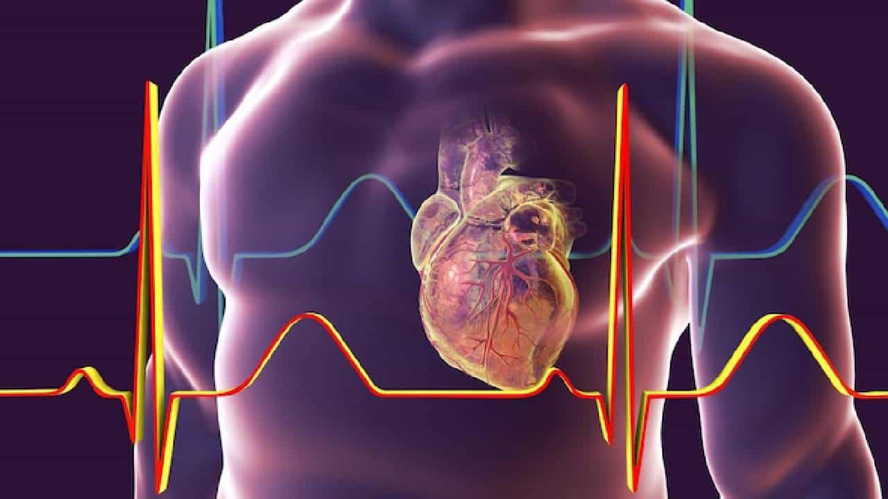 Heart Attack: ಚಳಿಗಾಲದಲ್ಲಿ ಹೃದಯಾಘಾತ ಹೆಚ್ಚಾಗಿ ಸಂಭವಿಸುತ್ತದೆ Heart Attack: ಚಳಿಗಾಲದಲ್ಲಿ ಹೃದಯಾಘಾತ ಹೆಚ್ಚಾಗಿ ಸಂಭವಿಸುತ್ತದೆ