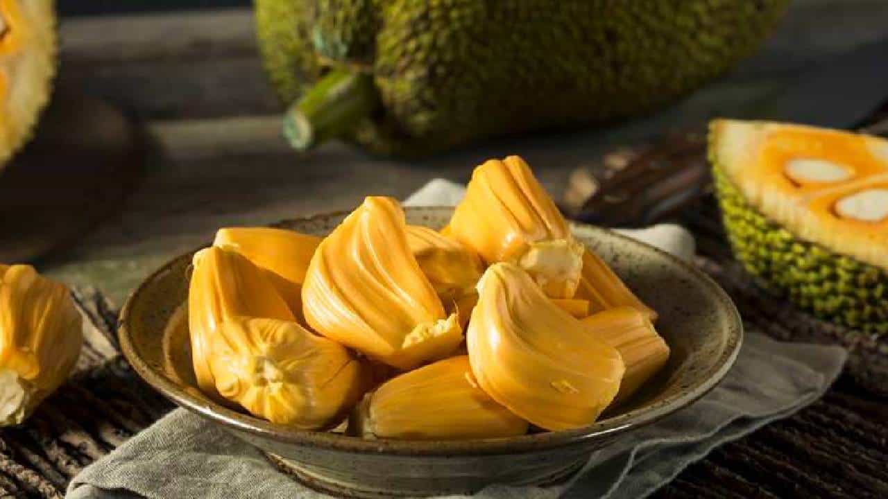 Jackfruit Ladoo: ಮಧುಮೇಹಿಗಳಿಗಾಗಿ ವಿಶೇಷವಾಗಿ ತಯಾರಿಸಲಾದ ಹಲಸಿನ ಹಣ್ಣಿನ ಲಡ್ಡು Jackfruit Ladoo: ಮಧುಮೇಹಿಗಳಿಗಾಗಿ ವಿಶೇಷವಾಗಿ ತಯಾರಿಸಲಾದ ಹಲಸಿನ ಹಣ್ಣಿನ ಲಡ್ಡು