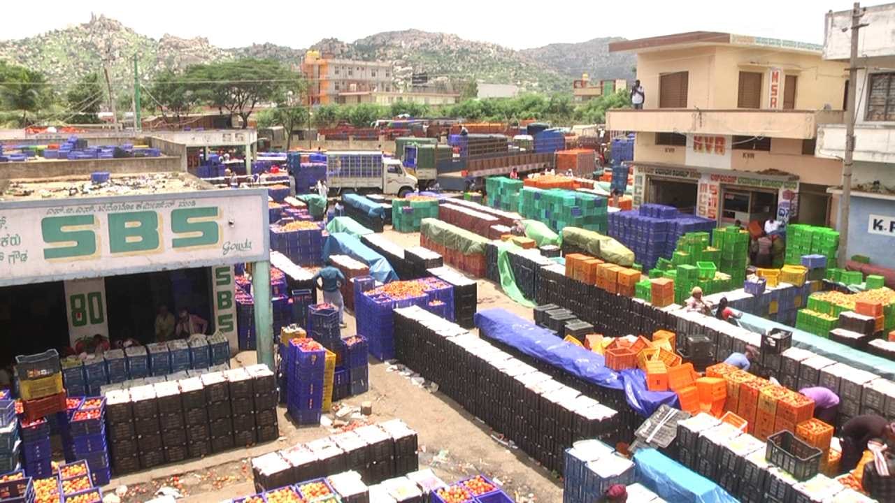 Kolar APMC: ಕೋಲಾರ ಎಪಿಎಂಸಿ ಮಾರುಕಟ್ಟೆಯಲ್ಲಿ ತರಕಾರಿ ಬೆಲೆ ಇದ್ದಕ್ಕಿದ್ದಂತೆ ತೀವ್ರವಾಗಿ ಕುಸಿದಿದೆ! Kolar APMC: ಕೋಲಾರ ಎಪಿಎಂಸಿ ಮಾರುಕಟ್ಟೆಯಲ್ಲಿ ತರಕಾರಿ ಬೆಲೆ ಇದ್ದಕ್ಕಿದ್ದಂತೆ ತೀವ್ರವಾಗಿ ಕುಸಿದಿದೆ!