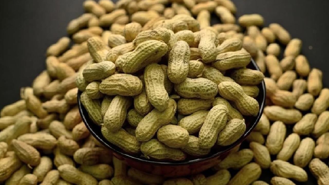 Benefits of Peanuts ಬಡವರ ಬಾದಾಮಿ ಕಡಲೆಕಾಯಿಯಲ್ಲಿ ಅಡಗಿದೆ ಆರೋಗ್ಯದ ಗುಟ್ಟು