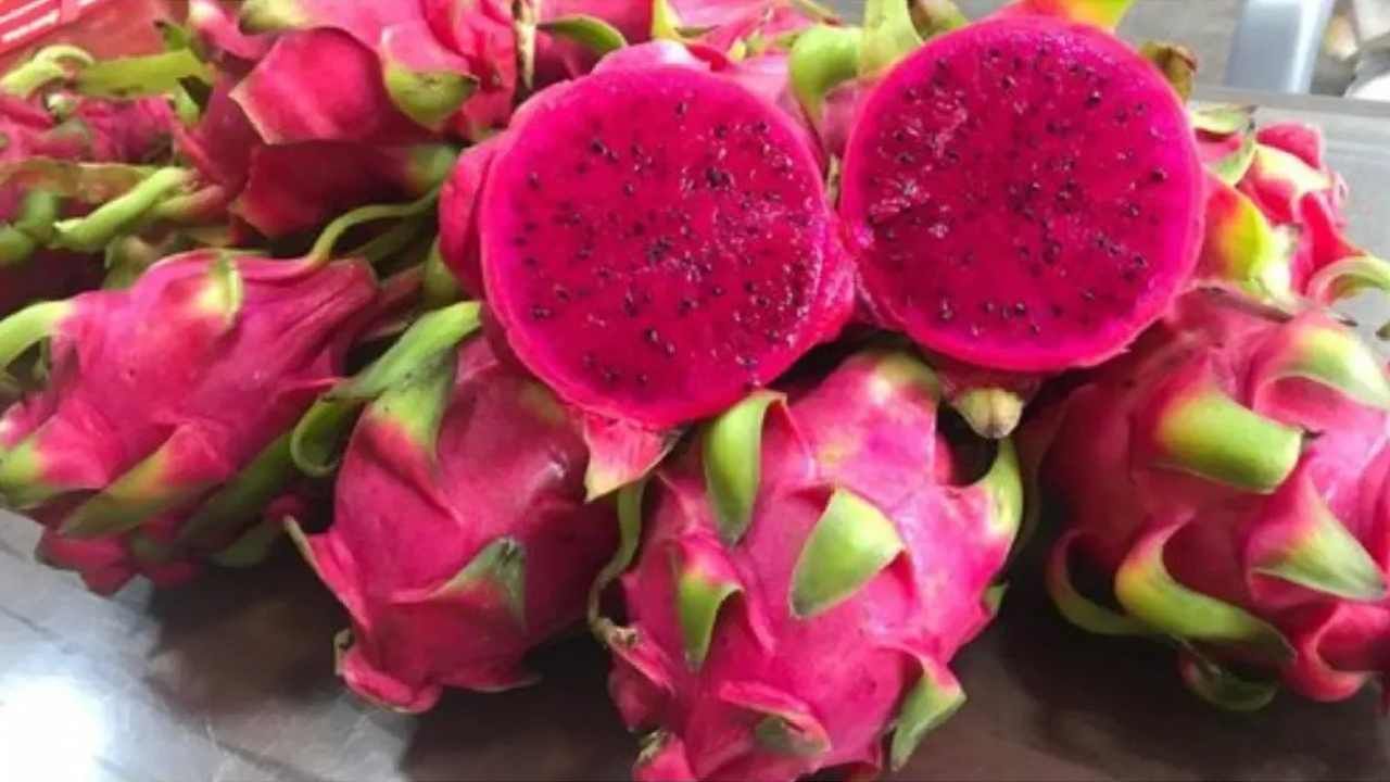 Dragon Fruit: ಡ್ರ್ಯಾಗನ್​ ಫ್ರೂಟ್​ ತಿಂದು ತೂಕ ಇಳಿಸಿಕೊಳ್ಳಬಹುದು, ಇತರೆ ಪ್ರಯೋಜನಗಳ ತಿಳಿಯಲು ಈ ಸುದ್ದಿ ತಪ್ಪದೇ ಓದಿ