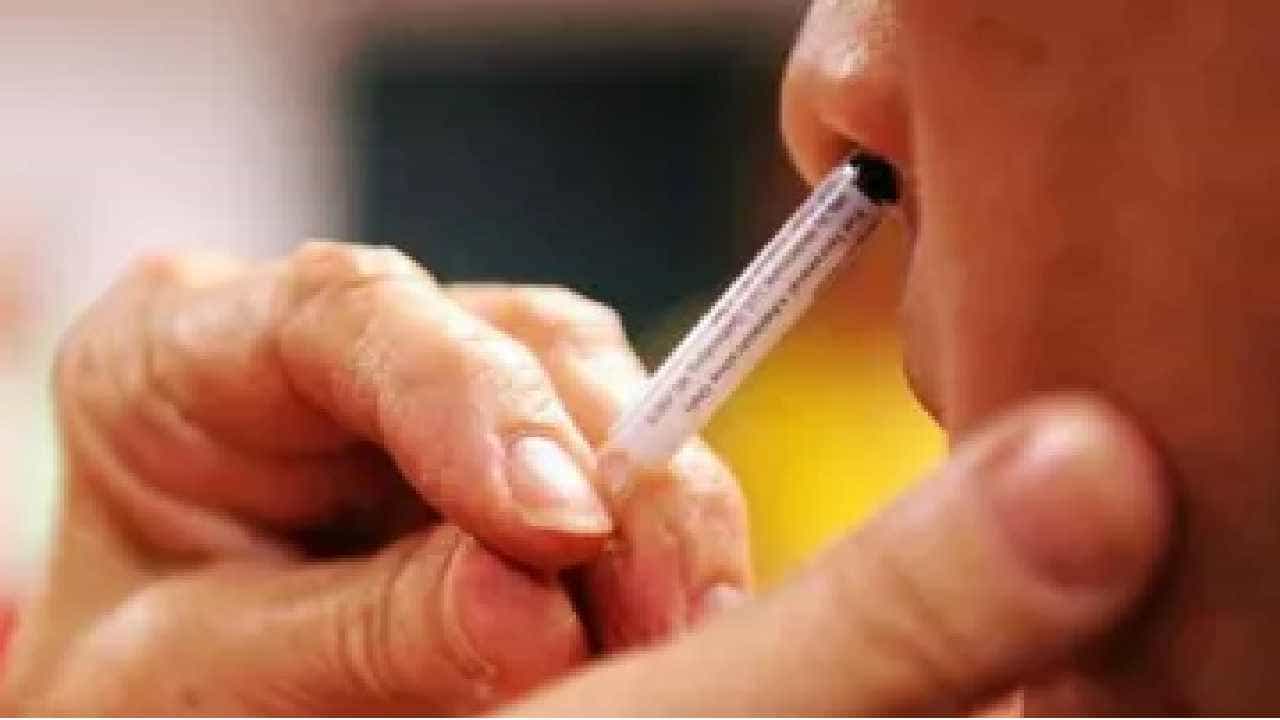 Covid Nasal Spray: ಈಗಿರುವ ಕೊರೊನಾ ಲಸಿಕೆಗಳಿಗಿಂತ ಮೂಗಿನ ಮೂಲಕ ಹಾಕುವ ಲಸಿಕೆ ಉತ್ತಮವೇ? Covid Nasal Spray: ಈಗಿರುವ ಕೊರೊನಾ ಲಸಿಕೆಗಳಿಗಿಂತ ಮೂಗಿನ ಮೂಲಕ ಹಾಕುವ ಲಸಿಕೆ ಉತ್ತಮವೇ?
