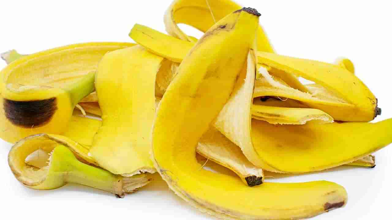 Banana Peel Benefits: ಬಾಳೆಹಣ್ಣಿನ ಸಿಪ್ಪೆಯನ್ನು ಕಸದ ಬುಟ್ಟಿಗೆ ಎಸೆಯುವ ಮುನ್ನ ಅದರ ಪ್ರಯೋಜನಗಳ ತಿಳಿಯಿರಿ