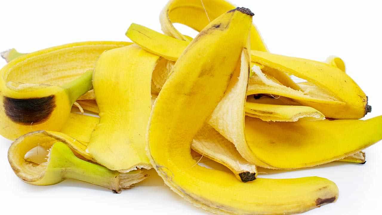 Banana Peel Benefits: ಬಾಳೆಹಣ್ಣಿನ ಸಿಪ್ಪೆಯನ್ನು ಕಸದ ಬುಟ್ಟಿಗೆ ಎಸೆಯುವ ಮುನ್ನ ಅದರ ಪ್ರಯೋಜನಗಳ ತಿಳಿಯಿರಿ Banana Peel Benefits: ಬಾಳೆಹಣ್ಣಿನ ಸಿಪ್ಪೆಯನ್ನು ಕಸದ ಬುಟ್ಟಿಗೆ ಎಸೆಯುವ ಮುನ್ನ ಅದರ ಪ್ರಯೋಜನಗಳ ತಿಳಿಯಿರಿ