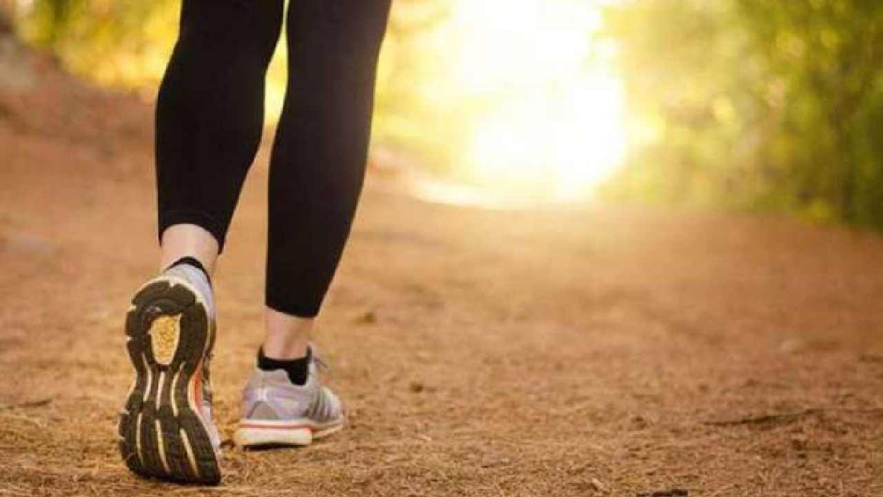 Reverse Walking: ಹಿಮ್ಮುಖ ನಡಿಗೆಯಿಂದ ಈ ಆರೋಗ್ಯ ಸಮಸ್ಯೆಗಳನ್ನು ದೂರ ಮಾಡಬಹುದು ಗೊತ್ತೇ? Reverse Walking: ಹಿಮ್ಮುಖ ನಡಿಗೆಯಿಂದ ಈ ಆರೋಗ್ಯ ಸಮಸ್ಯೆಗಳನ್ನು ದೂರ ಮಾಡಬಹುದು ಗೊತ್ತೇ?