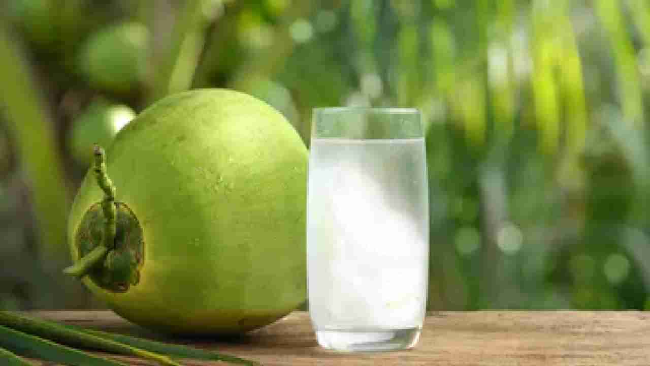 Coconut Water: ಚಳಿಗಾಲದಲ್ಲಿ ನೀವು ನೀರು ಕಡಿಮೆ ಕುಡಿಯುತ್ತಿರಬಹುದು, ಆದರೆ ಎಳನೀರು ಕುಡಿಯುವುದ ತಪ್ಪಿಸಬೇಡಿ