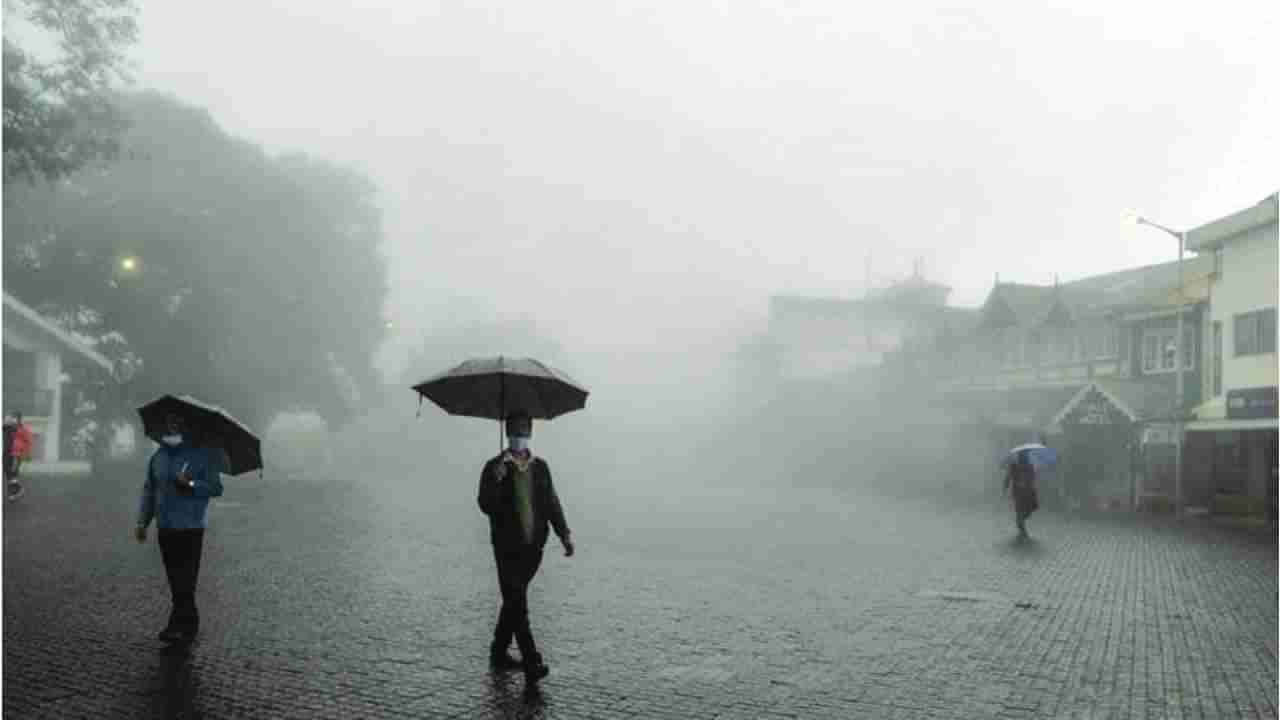 Karnataka Weather: ಬೆಂಗಳೂರು ಸೇರಿ ಕರ್ನಾಟಕದಾದ್ಯಂತ ಭಾರಿ ಮಳೆ ಮುನ್ಸೂಚನೆ, 7 ಜಿಲ್ಲೆಗಳಿಗೆ ಯೆಲ್ಲೋ ಅಲರ್ಟ್​ ಘೋಷಣೆ