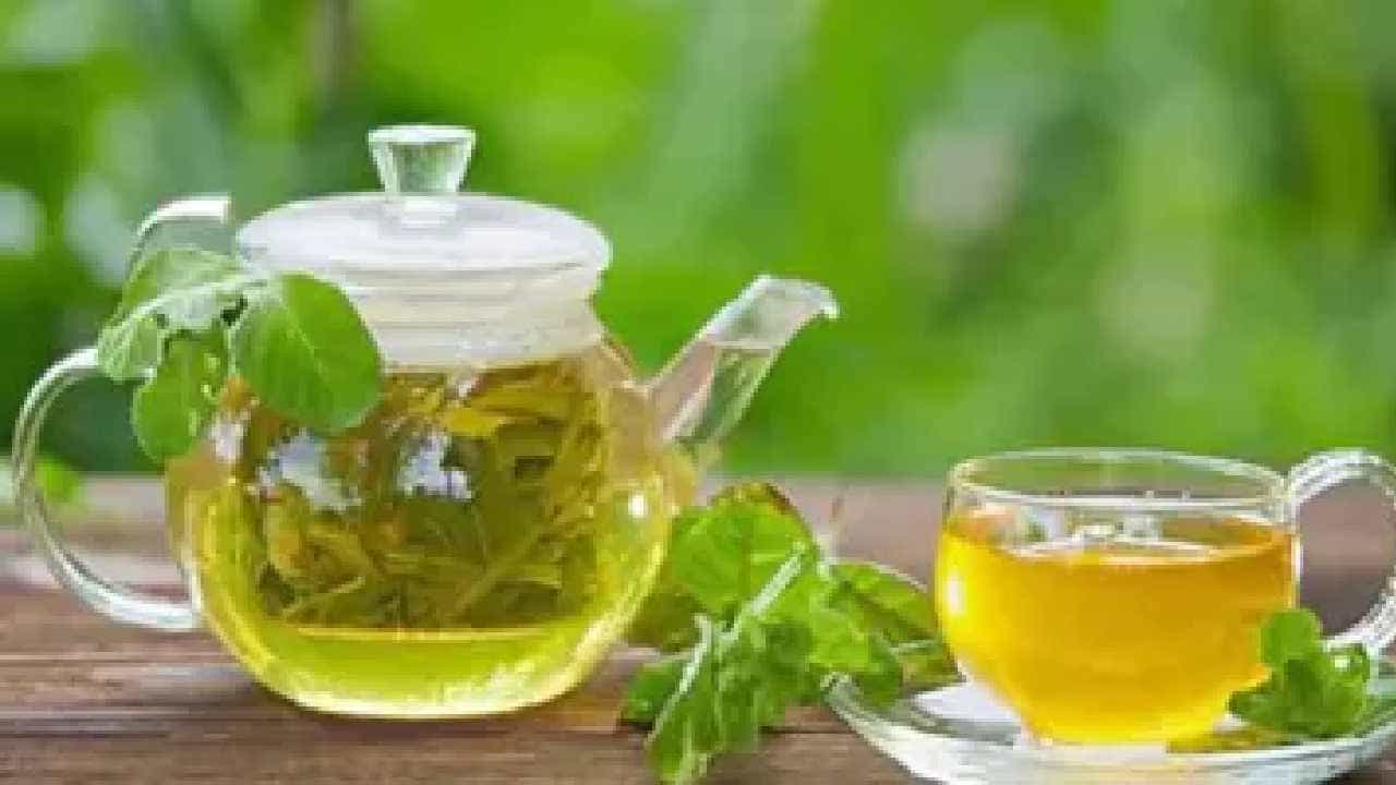 Green Tea Side Effects: ನಿಮಗೂ ನಿತ್ಯ ಗ್ರೀನ್ ಟೀ ಕುಡಿಯುವ ಅಭ್ಯಾಸವಿದೆಯೇ? ಹಾಗಾದ್ರೆ ಈಗಲೇ ಎಚ್ಚೆತ್ತುಕೊಳ್ಳಿ Green Tea Side Effects: ನಿಮಗೂ ನಿತ್ಯ ಗ್ರೀನ್ ಟೀ ಕುಡಿಯುವ ಅಭ್ಯಾಸವಿದೆಯೇ? ಹಾಗಾದ್ರೆ ಈಗಲೇ ಎಚ್ಚೆತ್ತುಕೊಳ್ಳಿ