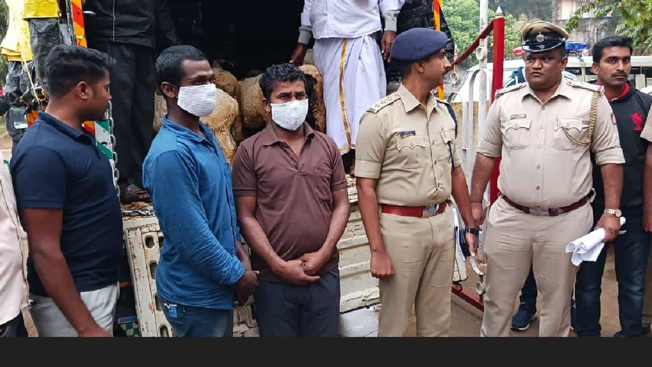 Chikkaballapura: ಜಾನುವಾರುಗಳನ್ನು ಕಳ್ಳತನ ಮಾಡುತ್ತಿದ್ದ ಅಂತರರಾಜ್ಯ ಕಳ್ಳರನ್ನ ಬಂಧಿಸಿದ ಪೊಲೀಸರು Chikkaballapura: ಜಾನುವಾರುಗಳನ್ನು ಕಳ್ಳತನ ಮಾಡುತ್ತಿದ್ದ ಅಂತರರಾಜ್ಯ ಕಳ್ಳರನ್ನ ಬಂಧಿಸಿದ ಪೊಲೀಸರು